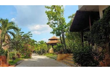 Đất Mặt Tiền Trung An- Xã Trung An Củ Chi 4379m2 ngang 46m x95m Chỉ 12.5 Tỷ